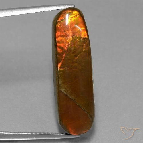 10.96ct 天然 彩色 菊石, 花式切割, 不透明
