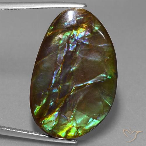 27.74ct 天然 彩色 菊石, 花式切割, 不透明