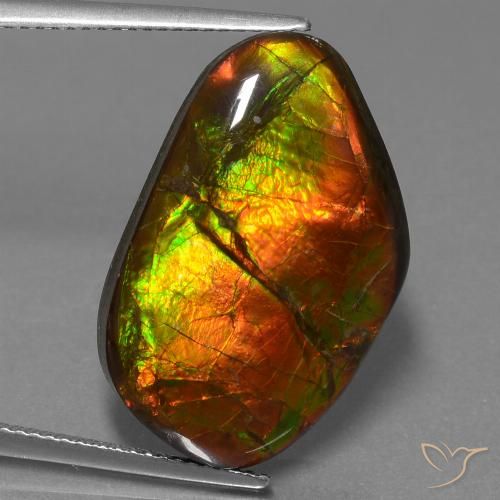 18.18ct 天然 彩色 菊石, 花式切割, 不透明