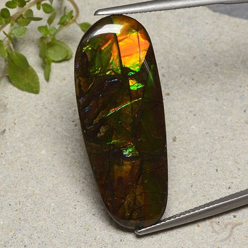 19.11ct 天然 彩色 菊石, 花式切割, 不透明