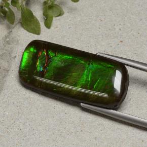 18.74克拉天然菊石，垫形剪裁，不透明