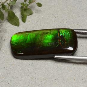 18.74克拉天然菊石，垫形剪裁，不透明