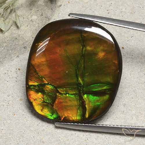 21.57ct 天然 彩色 菊石, 软垫, 不透明