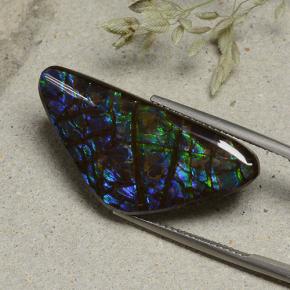 19.94克拉天然多色菊石宝石，异形，30.8×14.9毫米，不透明