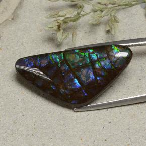 19.94克拉天然多色菊石宝石，异形，30.8×14.9毫米，不透明