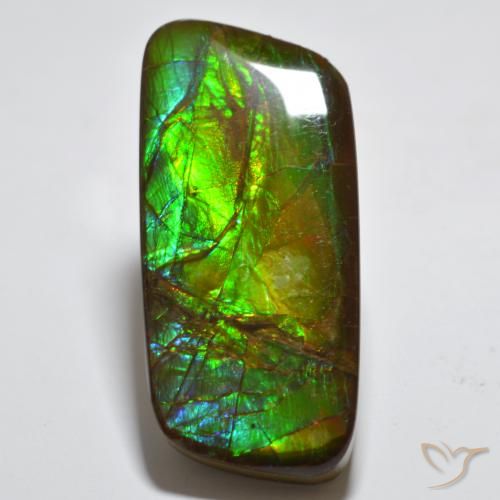 23.38ct 天然 彩色 菊石, 花式切割, 不透明