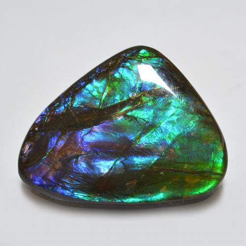 22.91克拉天然多色菊石宝石，异形，25.6×20.6毫米，不透明