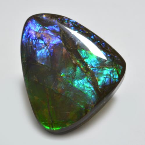 22.91克拉天然多色菊石宝石，异形，25.6×20.6毫米，不透明
