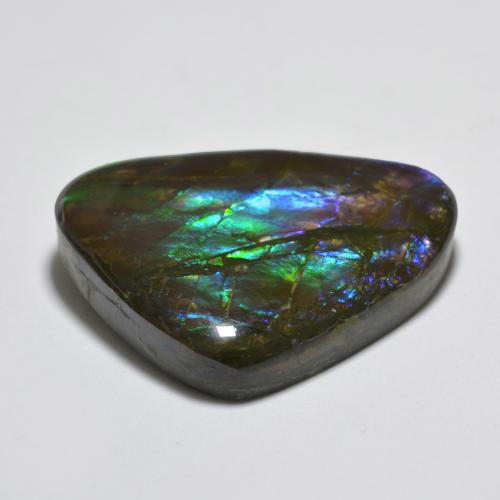 22.91克拉天然多色菊石宝石，异形，25.6×20.6毫米，不透明