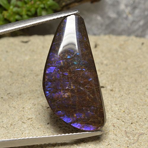 15.94ct 天然 彩色 菊石, 花式切割, 不透明