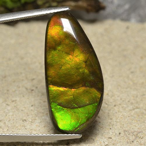 17.01ct 天然 彩色 菊石, 花式切割, 不透明