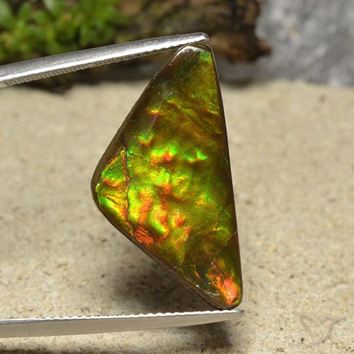 12.19ct 天然 彩色 菊石, 胖三角形, 不透明