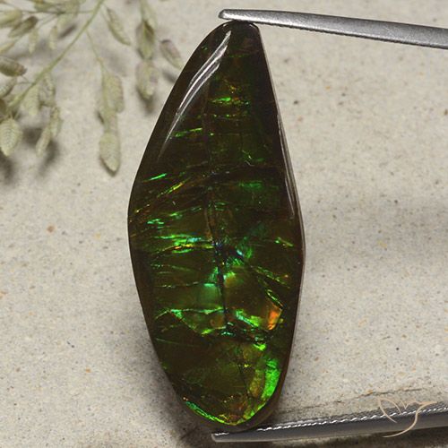 19.53ct 天然 彩色 菊石, 花式切割, 不透明