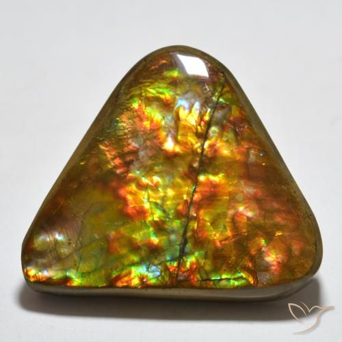 16.58ct 天然 彩色 菊石, 胖三角形, 不透明