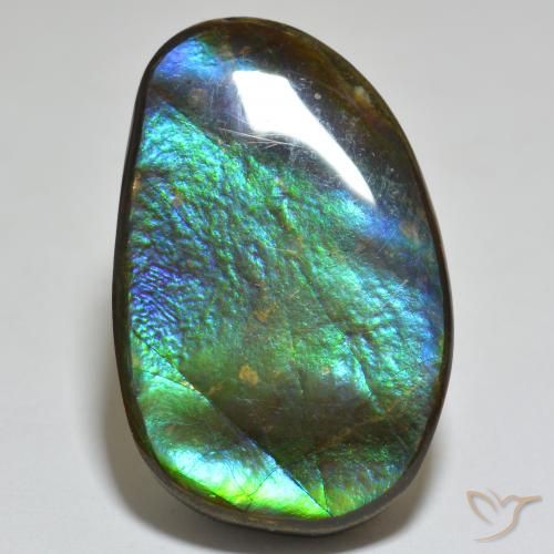 23.81ct 天然 彩色 菊石, 花式切割, 不透明