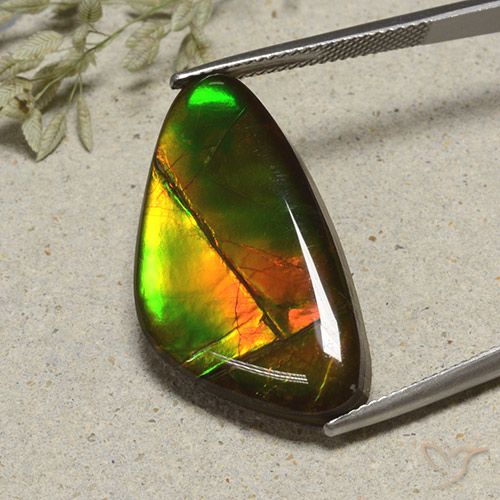 17.24ct 天然 彩色 菊石, 花式切割, 不透明