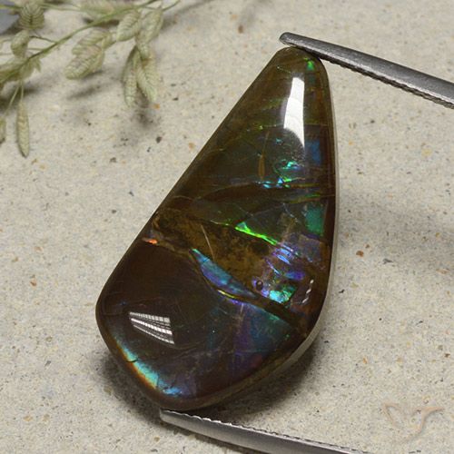 15.41ct 天然 彩色 菊石, 花式切割, 不透明