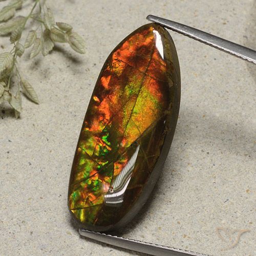 15.74ct 天然 彩色 菊石, 花式切割, 不透明