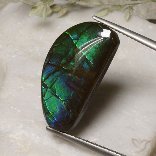 13.17ct 天然 彩色 菊石, 花式切割, 不透明