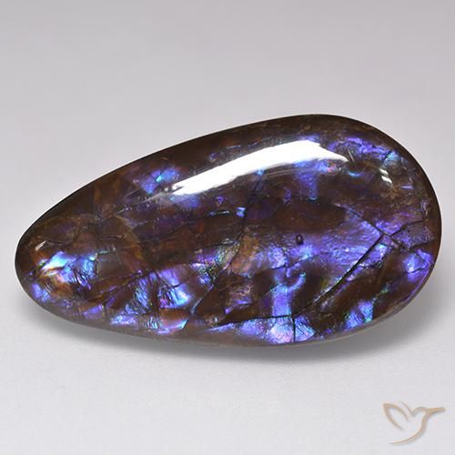 20.69克拉天然多色菊石宝石，梨形，30.2×16.1毫米，不透明