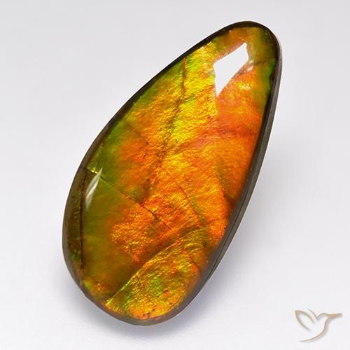 10.05ct 天然 彩色 菊石, 花式切割, 不透明