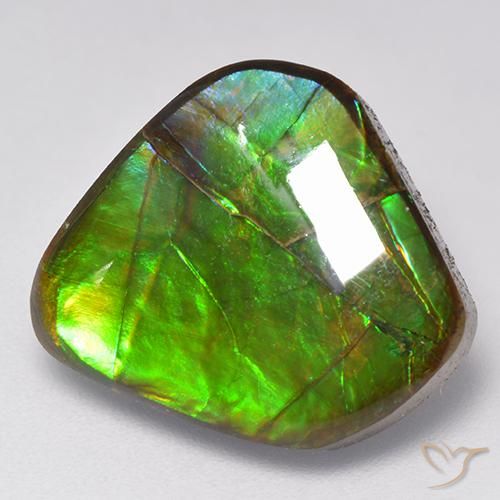 9.81ct 天然 彩色 菊石, 花式切割, 不透明