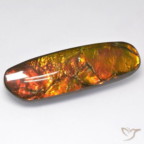 18.52ct 天然 彩色 菊石, 花式切割, 不透明