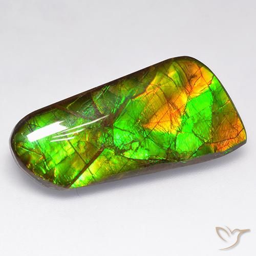 16.18ct 天然 彩色 菊石, 花式切割, 不透明