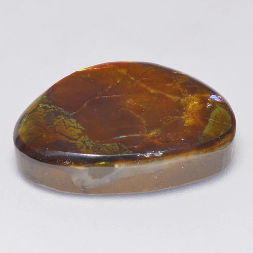 14.52克拉天然多色菊石宝石，异形，20.8×15毫米，不透明