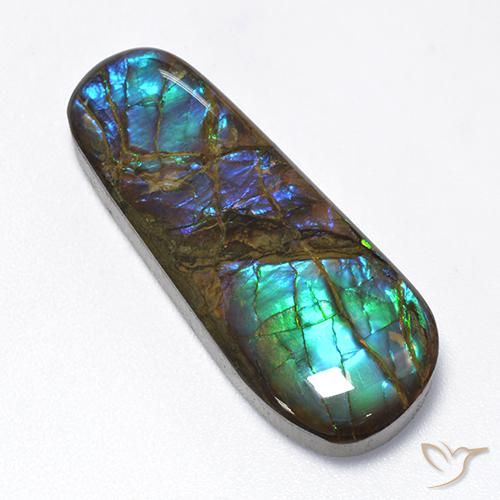 16.62ct 天然 彩色 菊石, 花式切割, 不透明