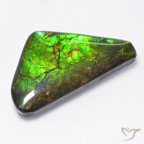10.43ct 天然 彩色 菊石, 花式切割, 不透明