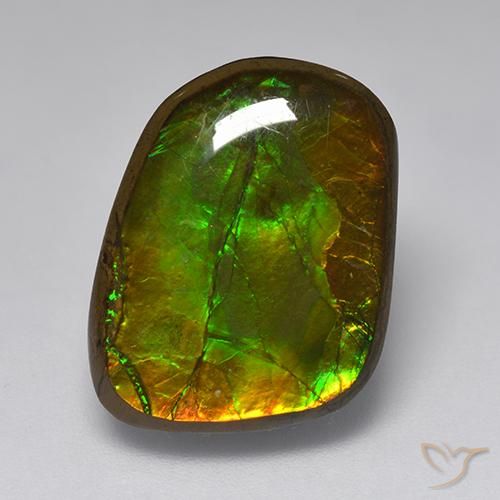10.83ct 天然 彩色 菊石, 花式切割, 不透明
