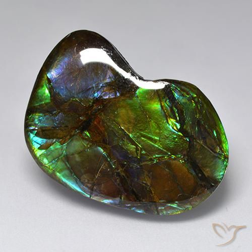 23.10ct 天然 彩色 菊石, 花式切割, 不透明
