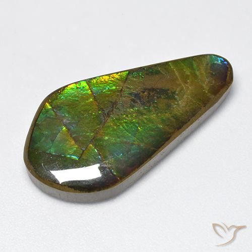 15.47ct 天然 彩色 菊石, 花式切割, 不透明