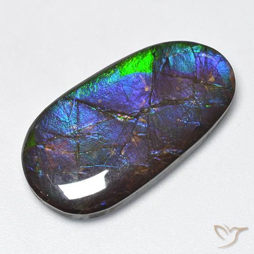 16.63ct 天然 彩色 菊石, 花式切割, 不透明
