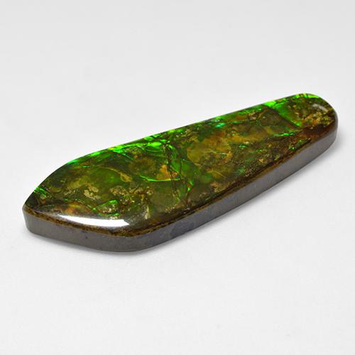 25.04克拉天然多色菊石宝石，异形，41×14.7毫米，不透明