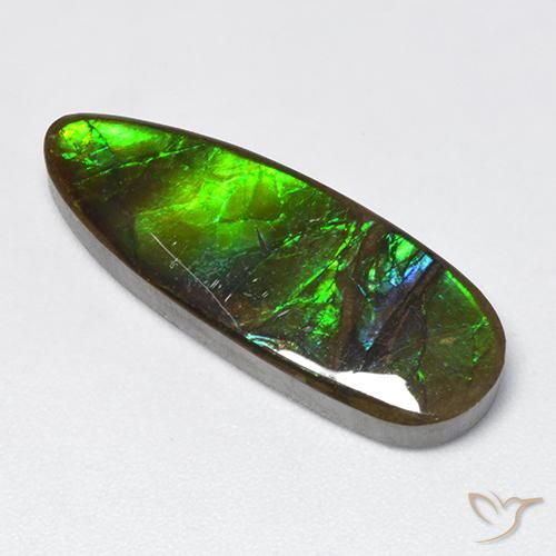 12.78ct 天然 彩色 菊石, 花式切割, 不透明