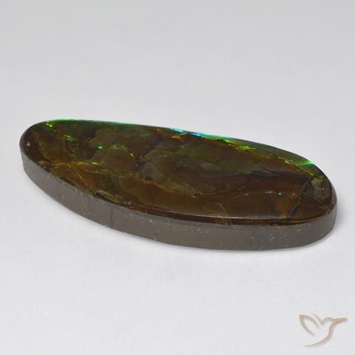 18.94克拉天然菊石，花式切割，不透明