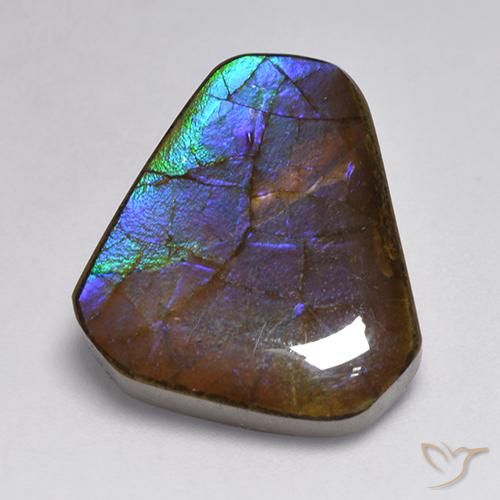 13.95ct 天然 彩色 菊石, 花式切割, 不透明
