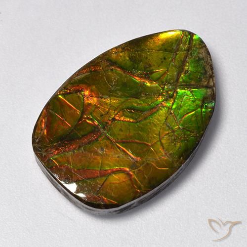 11.13ct 天然 彩色 菊石, 花式切割, 不透明