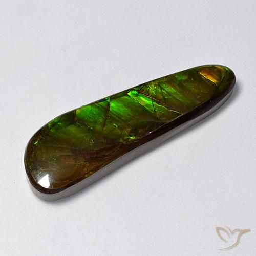 14.88ct 天然 彩色 菊石, 花式切割, 不透明