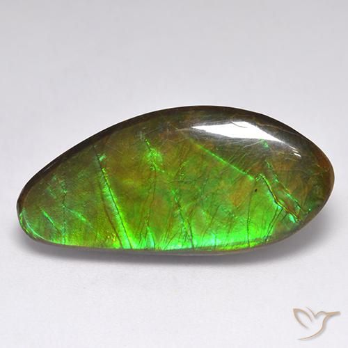 15.77ct 天然 彩色 菊石, 花式切割, 不透明
