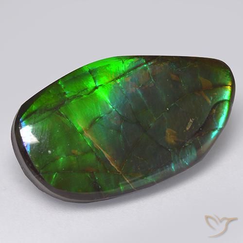 13.66ct 天然 彩色 菊石, 花式切割, 不透明