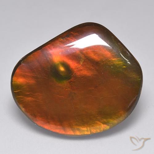 21.29ct 天然 彩色 菊石, 花式切割, 不透明