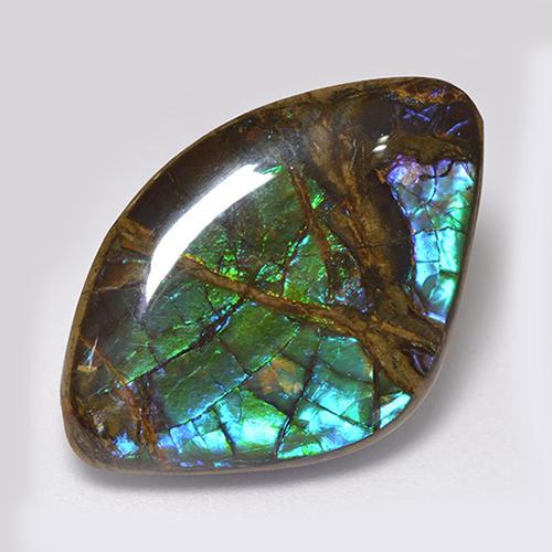 18.11克拉天然多色菊石宝石，异形，26.8×17.7毫米，不透明