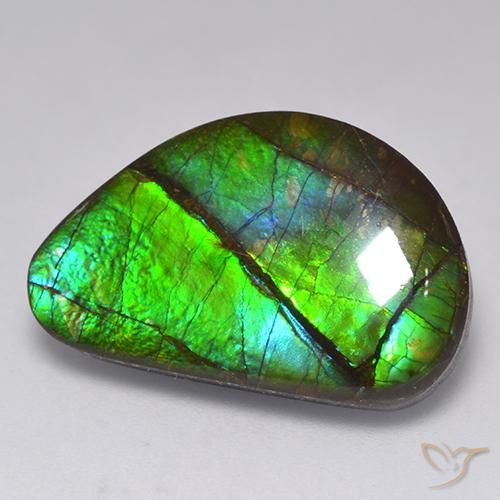 15.82ct 天然 彩色 菊石, 花式切割, 不透明