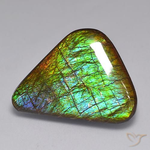 19.82ct 天然 彩色 菊石, 花式切割, 不透明
