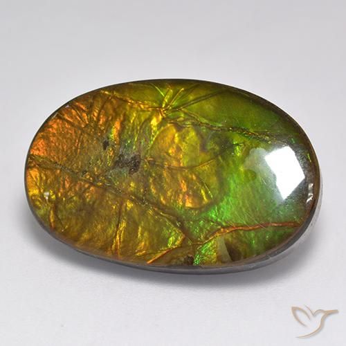 18.91ct 天然 彩色 菊石, 椭圆形, 不透明