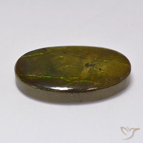 18.91克拉天然菊石，椭圆形，不透明