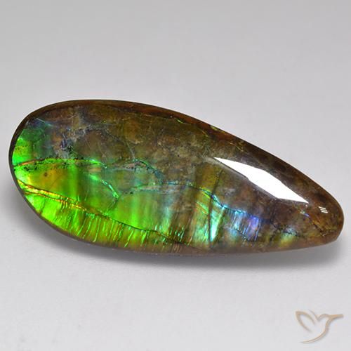 20.06ct 天然 彩色 菊石, 花式切割, 不透明